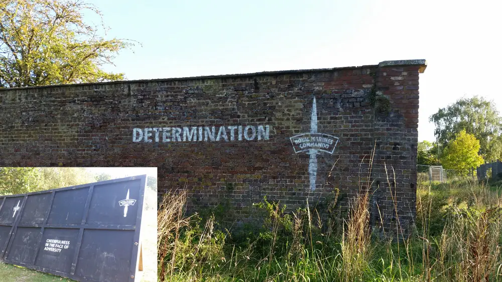 Bear-Grylls-survival-race